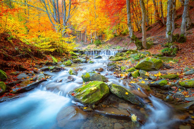 Autumn landscape - Old wooden bridge fnd river waterfall in colorful autumn forest park with yellow leaves