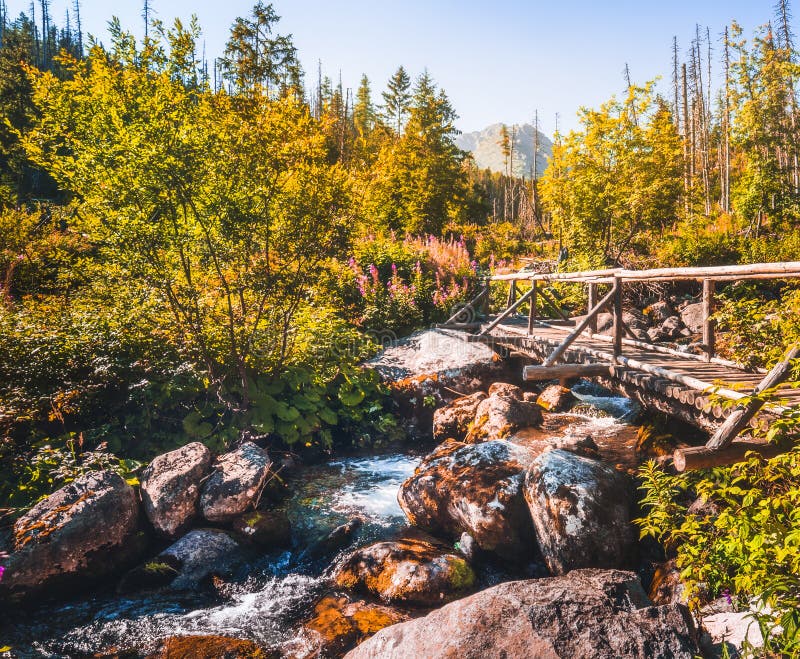 Old Wooden Bridge over Creek