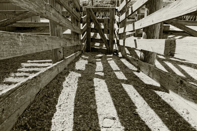 Old Wooden Cattle Chute on a Ranch
