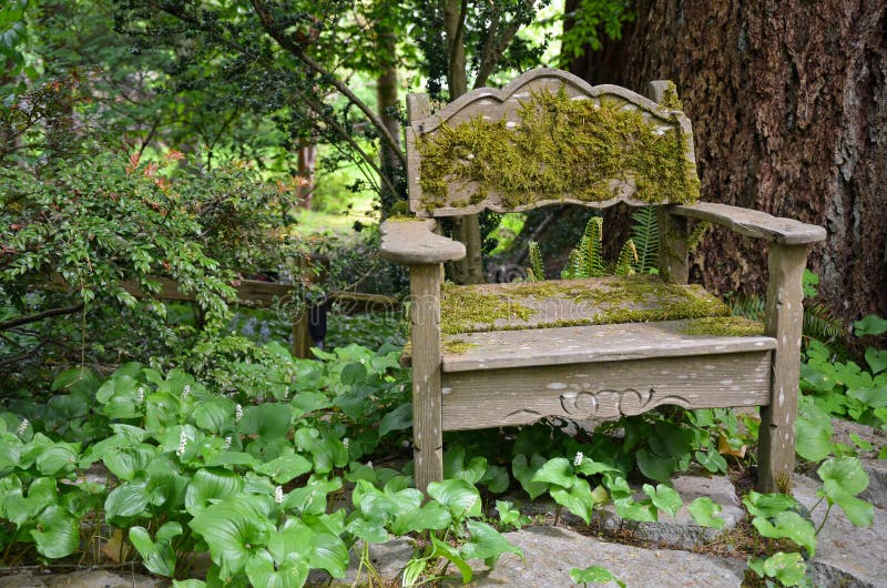 Old wooden chair in garden