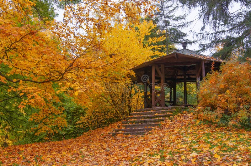 Old wooden gazebo and trees with colorful yellow-orange autumn leaves in a city park