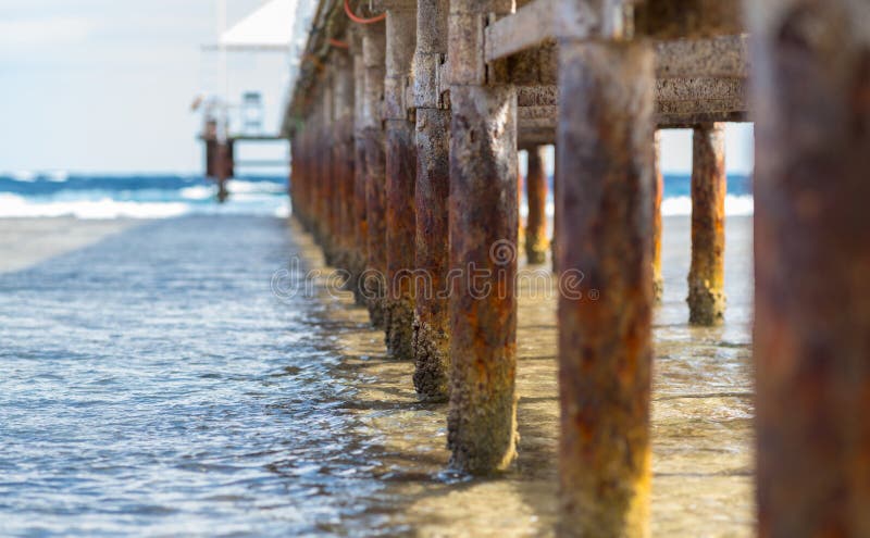 Old wooden poles under a pier or jetty