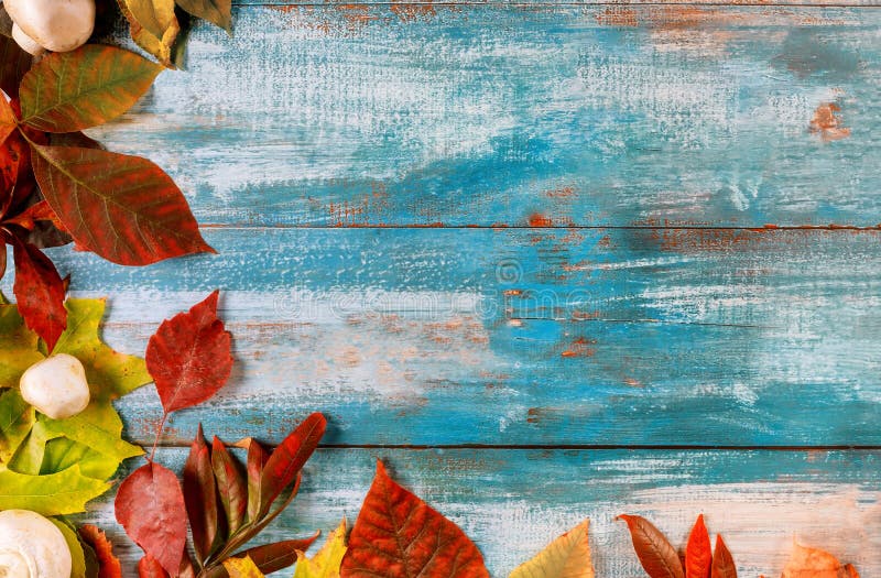 Old wooden table border from fallen leaves in the thanksgiving autumn background royalty free stock image Old wooden table border from fallen leaves in the thanksgiving autumn background royalty free stock image