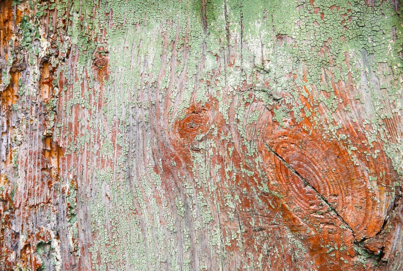 Old wooden texture. Scratches background. Vintage rough weathered surface royalty free stock images