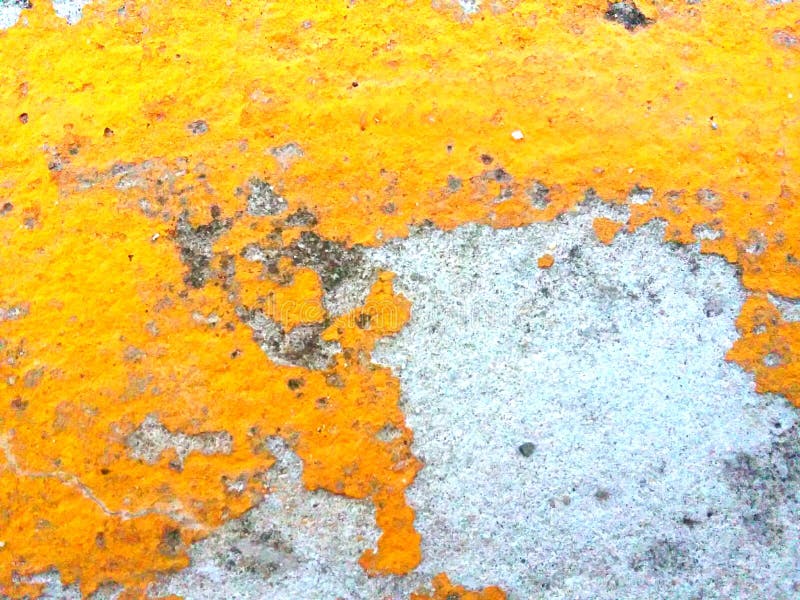 The Old Yellow Paint that Peels Off the Concrete Surface is Unstable