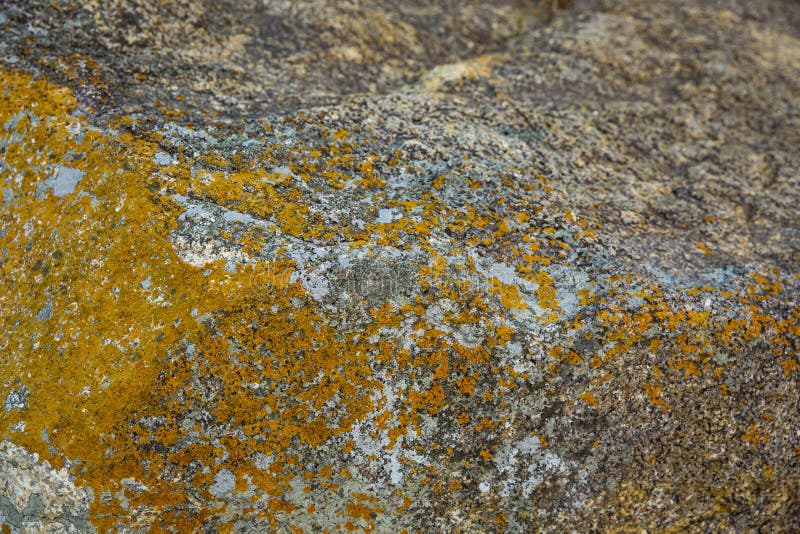 Old yellow Rocks stock photo. Image of rock, structure 84076296