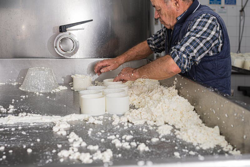 Older Man Working in a Fresh Cheese Factory Stock Image Image of
