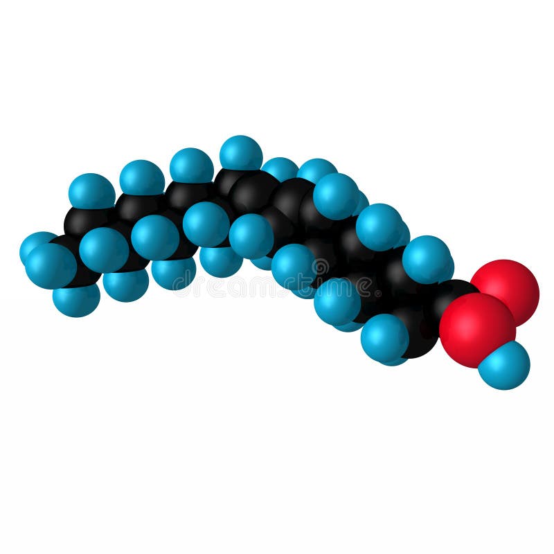Oleic Acid Cis and Elaidic Acid Trans , Omega9 Fatty Acids are