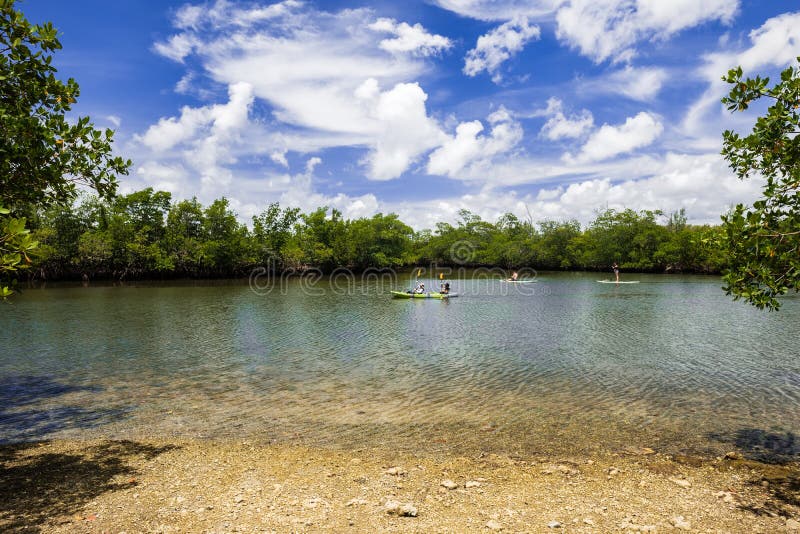 Escape to Paradise:  Oleta River State Park, Florida's Hidden Gem