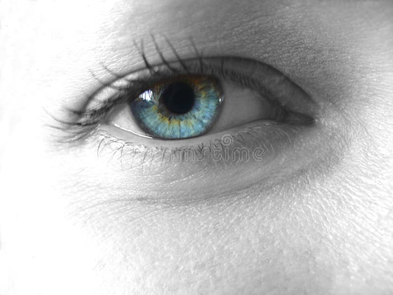 Olho bonito imagem de stock Olho bonito imagem de stock