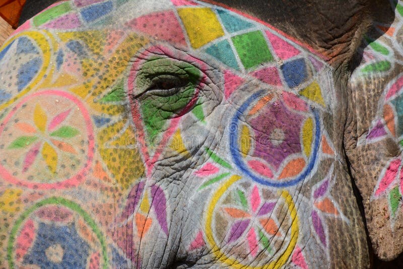 Olho do elefante foto de stock Olho do elefante foto de stock