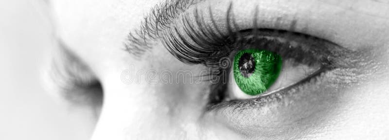 Olho verde - bonito, feminino