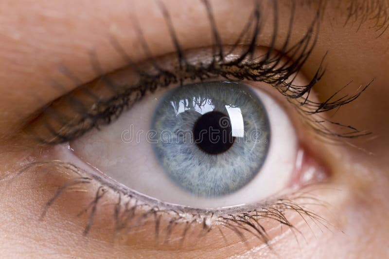 Olhos azuis bonitos imagem de stock royalty free Olhos azuis bonitos imagem de stock royalty free