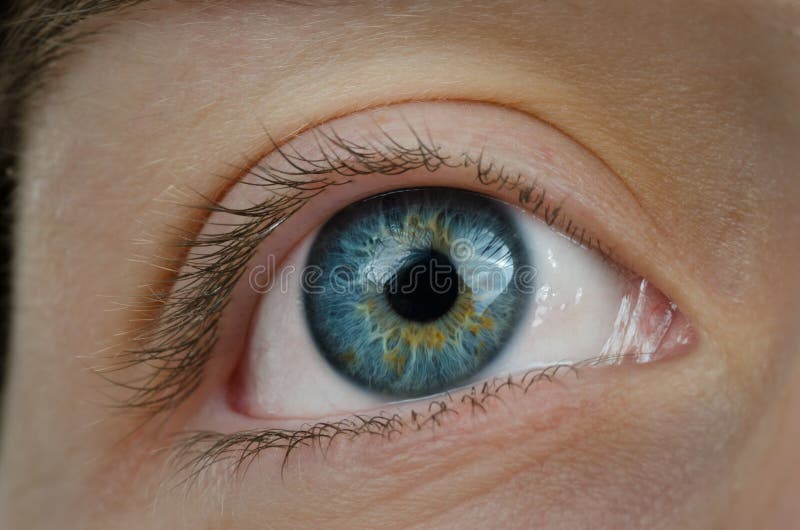 Olhos azuis surpreendentes. Imagem alta da definição. imagens de stock Olhos azuis surpreendentes. Imagem alta da definição. imagens de stock