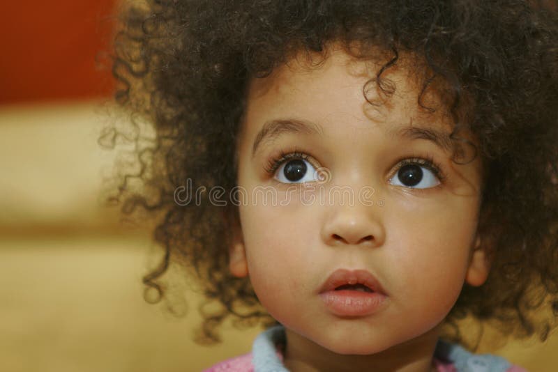 Olhos grandes de Brown foto de stock royalty free Olhos grandes de Brown foto de stock royalty free