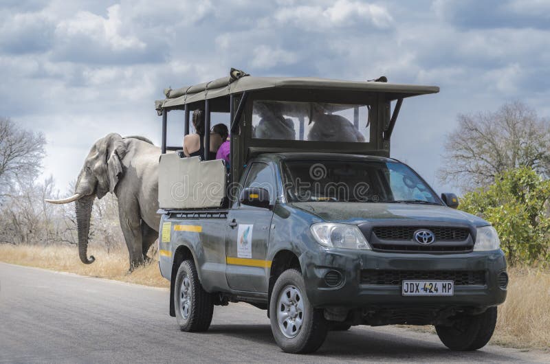 Olifant die Safari South Africa bevlekken royalty-vrije stock afbeeldingen Olifant die Safari South Africa bevlekken royalty-vrije stock afbeeldingen