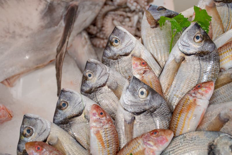 Olik ny skaldjur och fisk som visas på tabellen som är till salu i en fiskmarknad i Bari, Italien arkivfoto Olik ny skaldjur och fisk som visas på tabellen som är till salu i en fiskmarknad i Bari, Italien arkivfoto