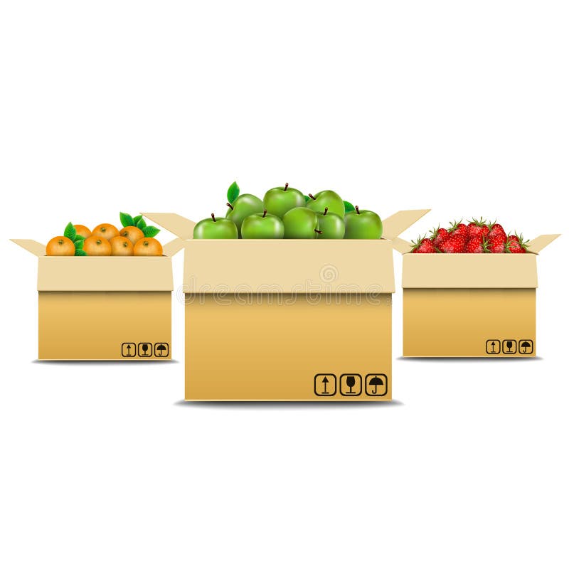 Olika nya frukter stock illustrationer