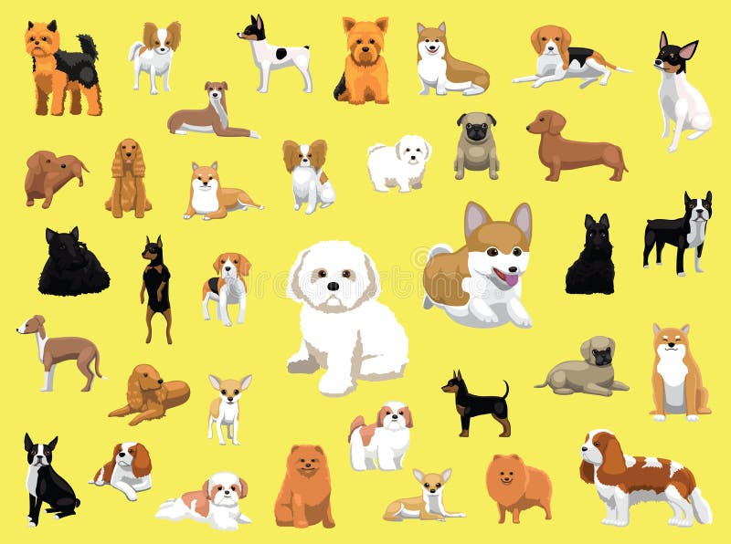 Olika små hundavel poserar royaltyfri illustrationer Olika små hundavel poserar royaltyfri illustrationer