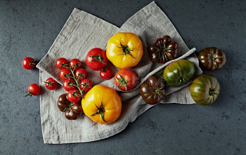 Olika typer av tomater på ett linnetyg Lekmanna- l?genhet royaltyfri fotografi Olika typer av tomater på ett linnetyg Lekmanna- l?genhet royaltyfri fotografi