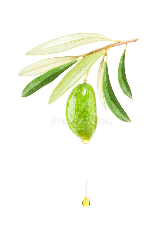 Oliva verde e goccia di caduta di Olive Oil Isolated immagine stock libera da diritti Oliva verde e goccia di caduta di Olive Oil Isolated immagine stock libera da diritti