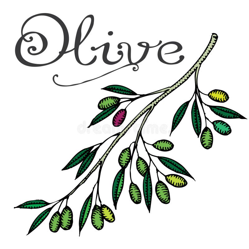 Olive