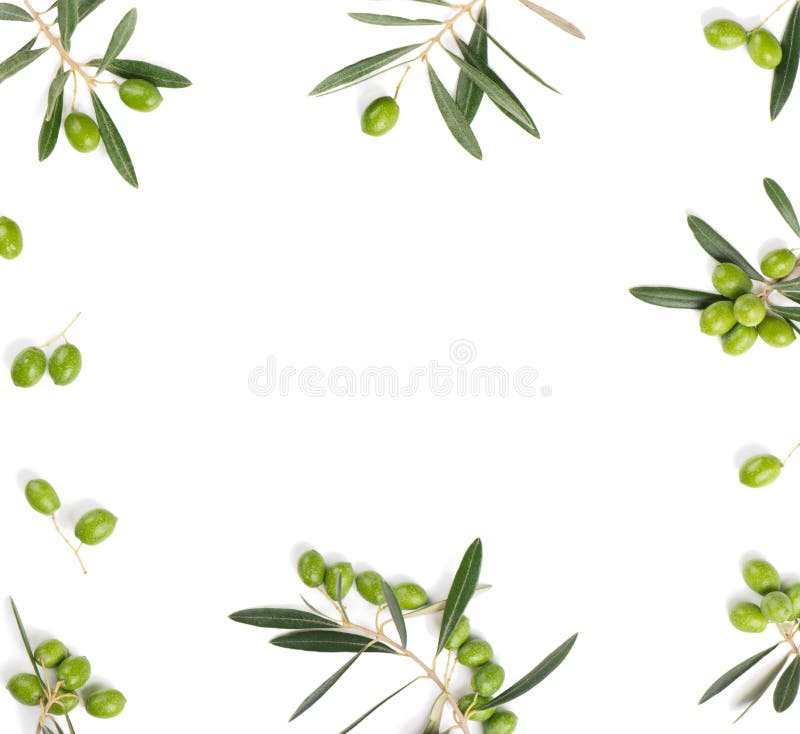Olive Border on White. Top View. Stock Photo Image of close, isolated 110451800