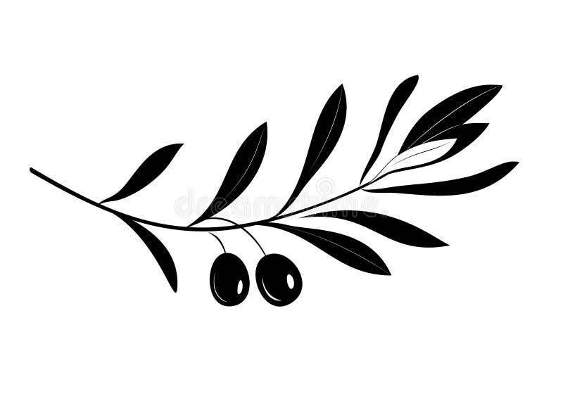 Olive Branch with Leaves and Olives Silhouette. Stock Vector