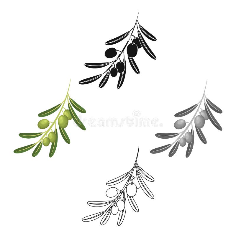 Single Olive Branch Stock Illustrations 487 Single Olive Branch Stock Illustrations Vectors Clipart Dreamstime