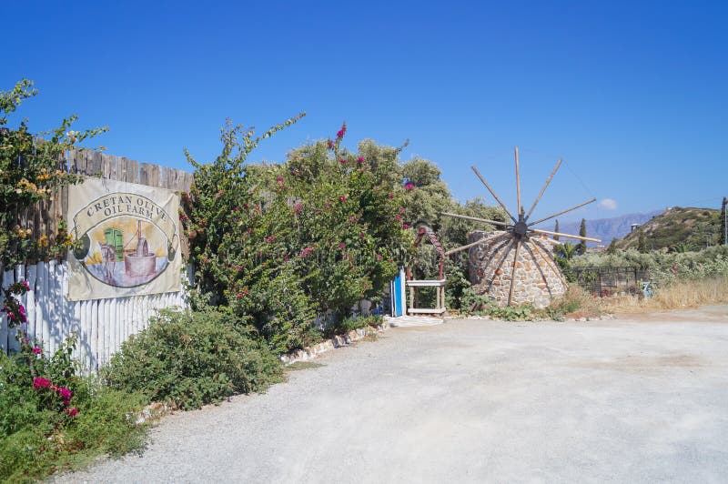 Olive farm editorial image. Image of farm, scene, sunny 59255530