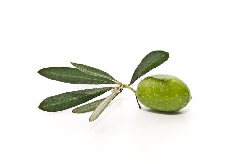 Fresh olives with olive leaves. Fresh olives with olive leaves