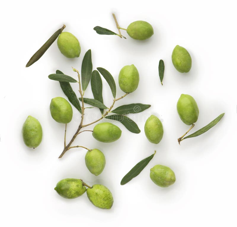 Olive Fruit and Olive Leaves on a White Background Stock Image Image