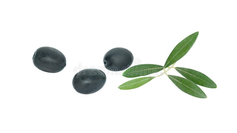 Olive fruits