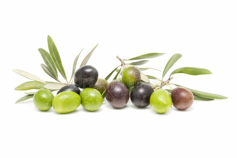 Olive fruits stock image. Image of natural, nutrition 17977421