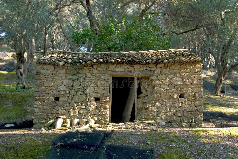 Olive Groves at Arilas, Corfu, Greece royalty free stock photo