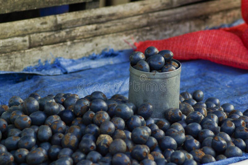 Olive in market stock image. Image of nutrition, holes 33980465