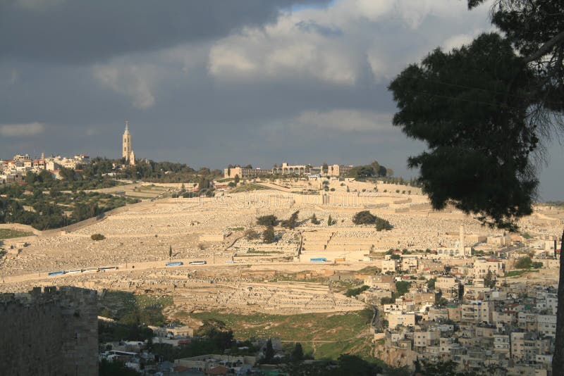 Olive Mountain stock image. Image of traditions, light 5201453