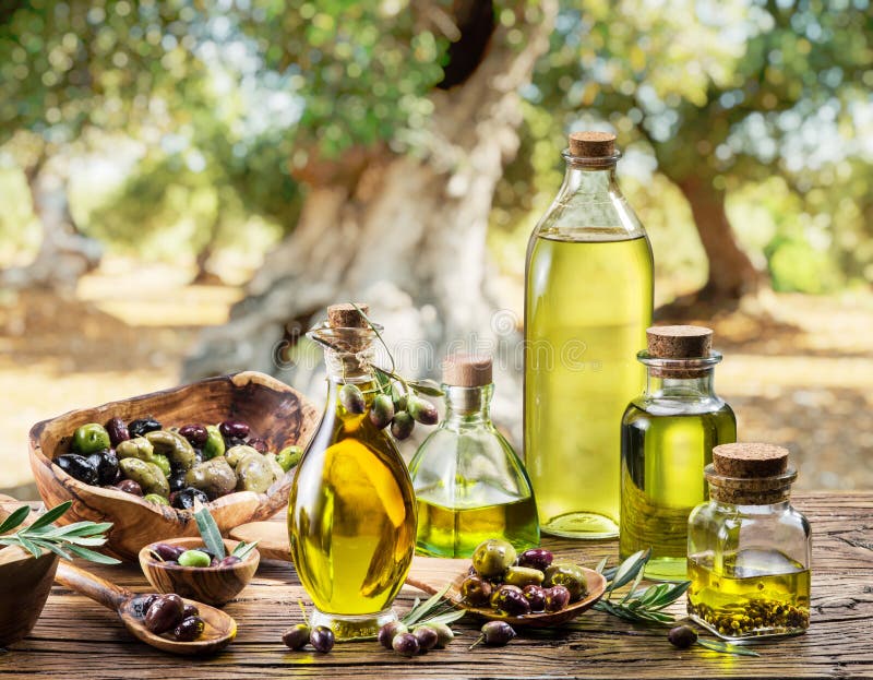 Olive oil and berries are on the wooden table under the olive tree