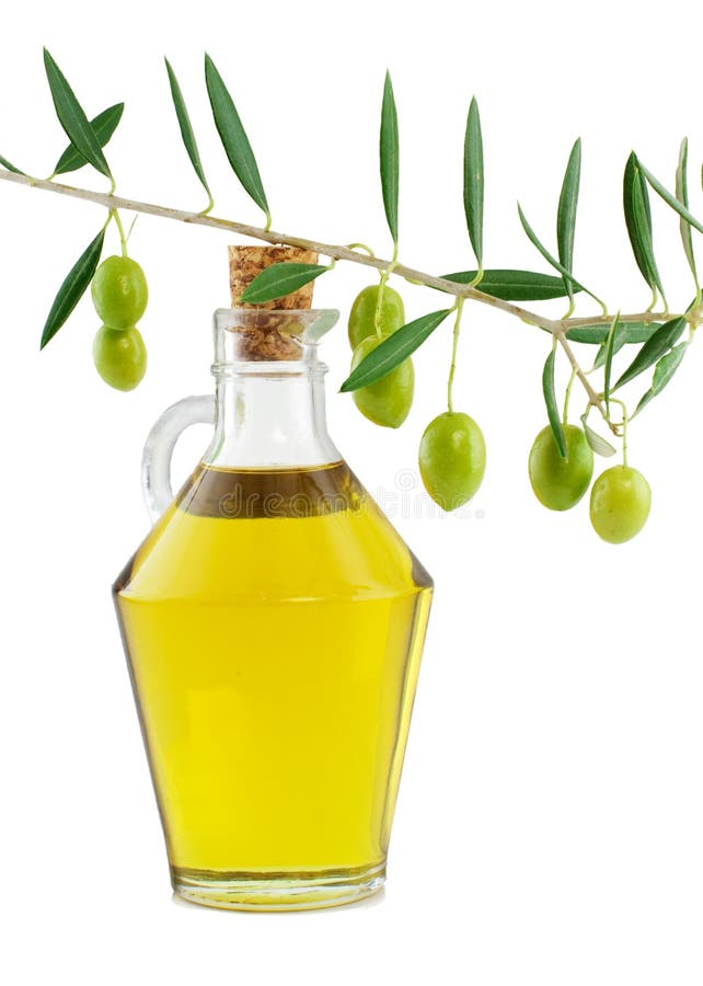 Olive Branch with Drop of Oil Stock Image Image of nature, isolated