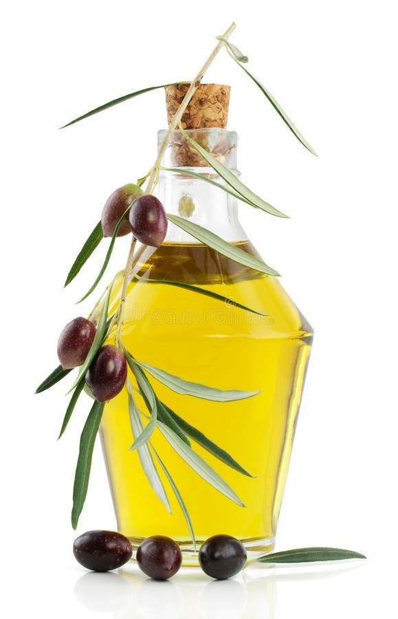 Olive Branch with Drop of Oil Stock Image Image of nature, isolated