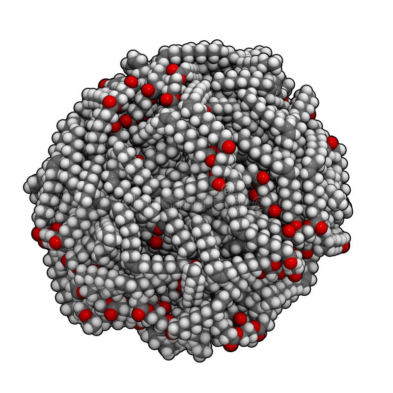 Olive Oil Chemical Composition Stock Illustration Illustration of