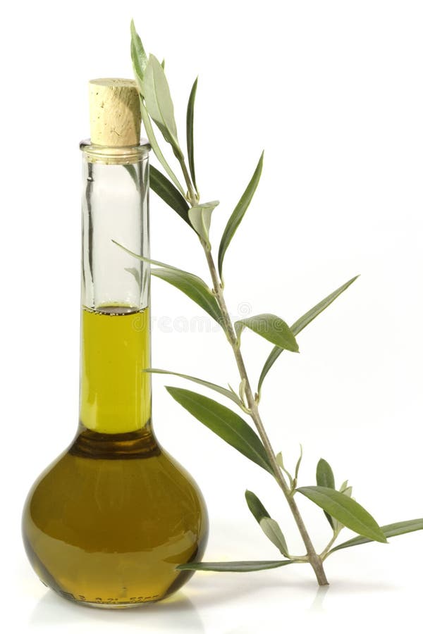 Olive Oil with Olive Branch Stock Photo Image of antipasto, olives 12274458