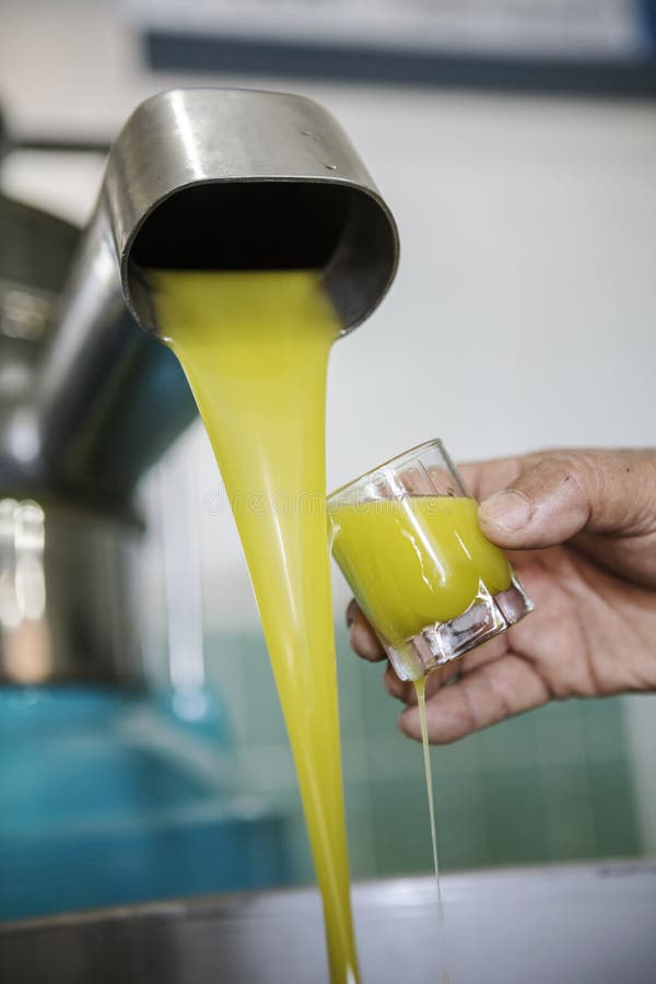 Olive oil production stock photo. Image of liquid, press 79964512