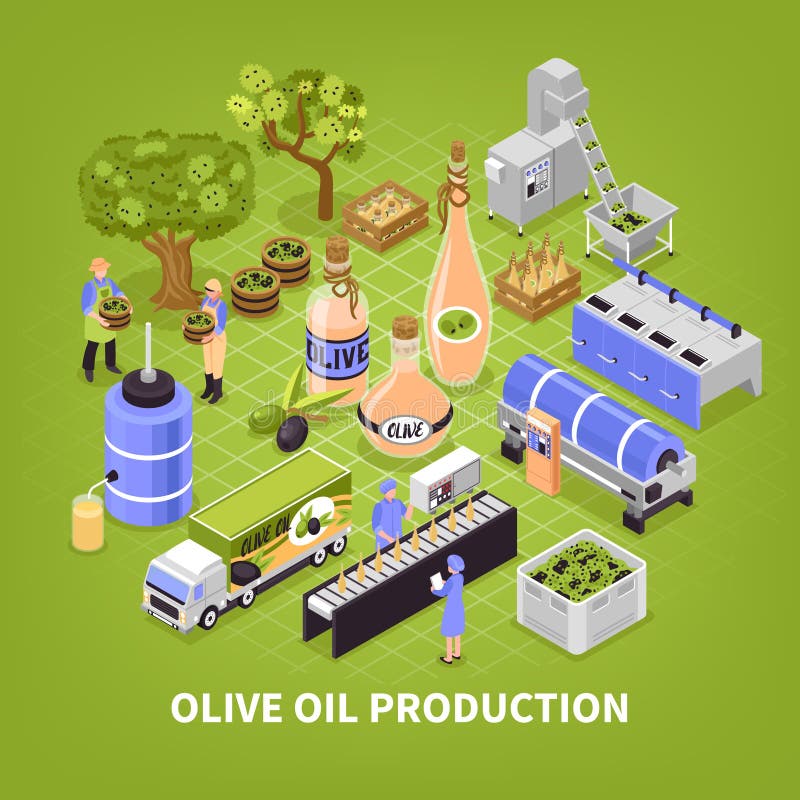 Olive Oil Industry Process Stock Illustrations 107 Olive Oil Industry