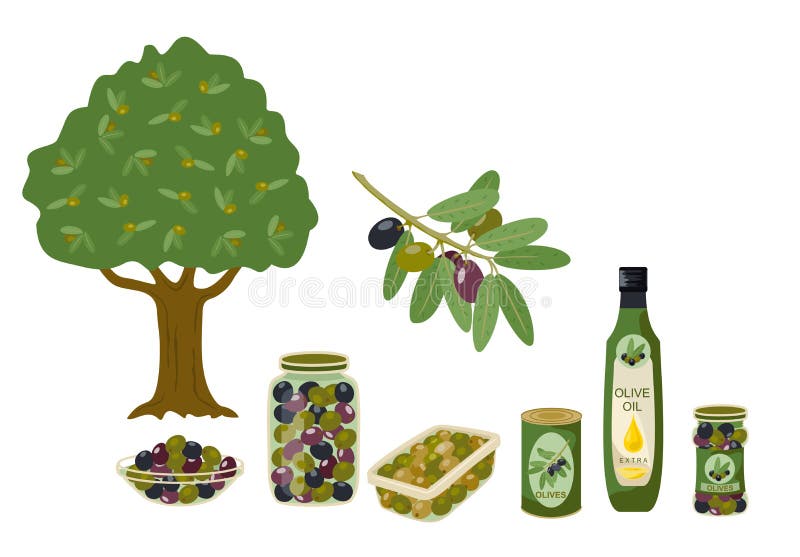 Olive Products Collection. Olive Oil, Branches, Bottles Illustration ...