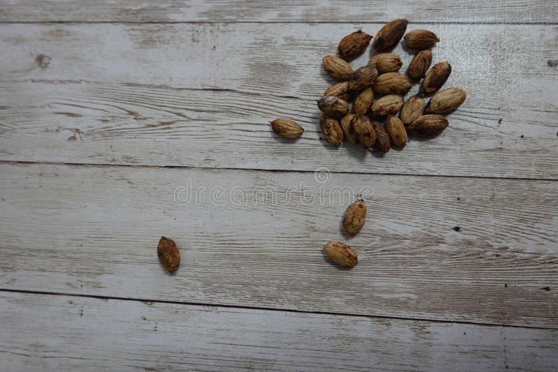 Olive Seeds for Olive Tree Germination, Olive Pits for Sprouting Stock