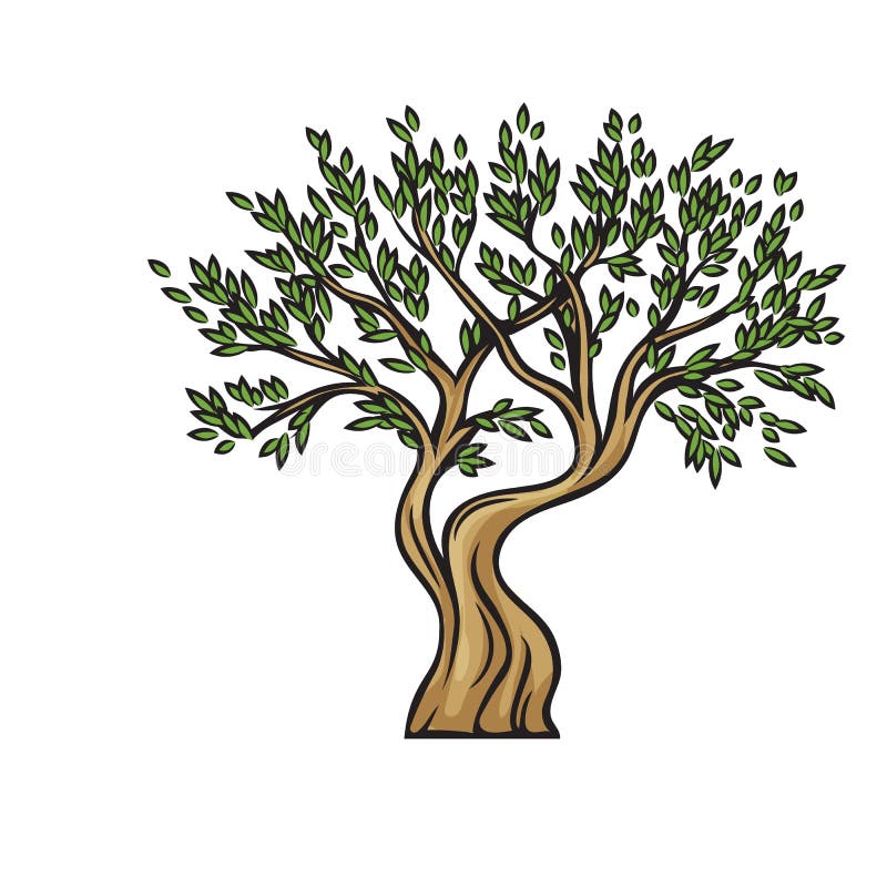 Ancient Greek Branch Olive Tree Stock Illustrations – 319 Ancient Greek
