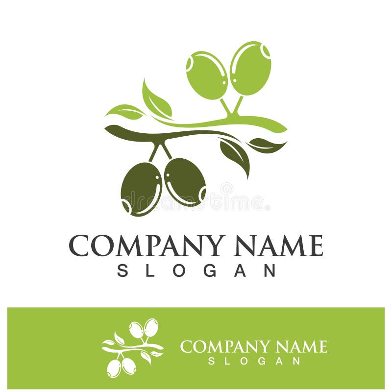 Olive Tree Vector Illustration Stock Vector Illustration of plant