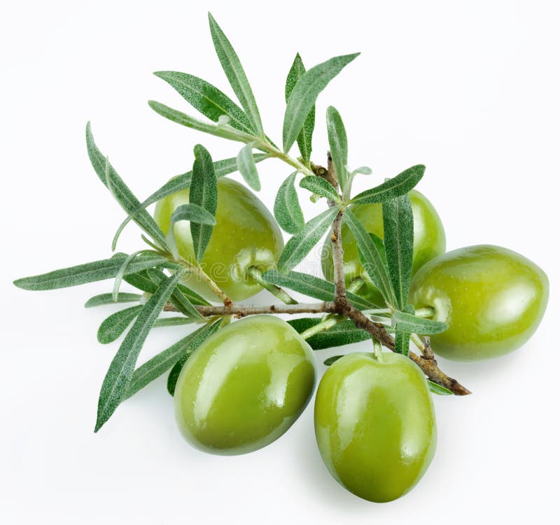Olive Verdi Con Una Filiale Fotografia Stock Immagine di nutrizione