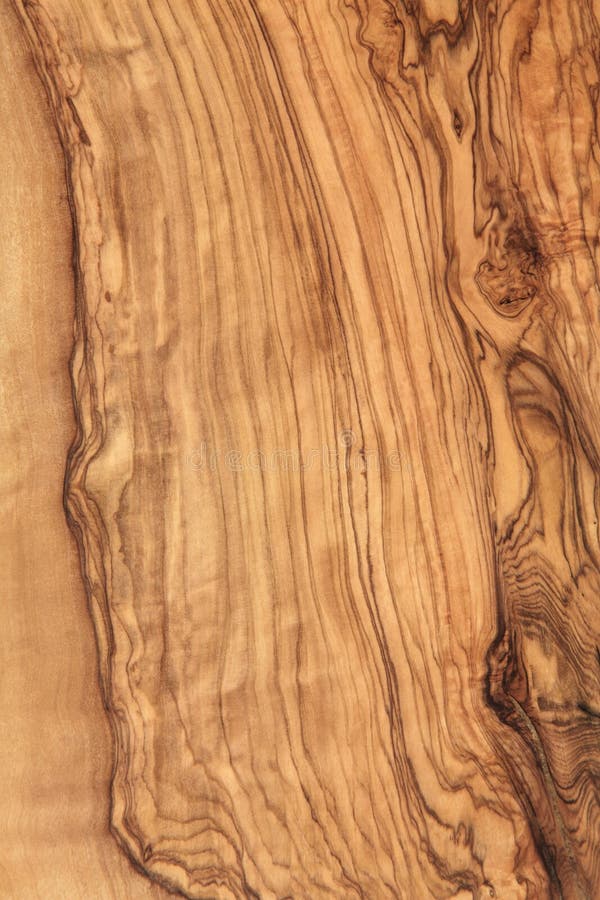 Olive Wood stock photo. Image of wooden, background, pattern 35213748